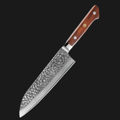 Professional VG10 Damascus Steel Japanese Knife